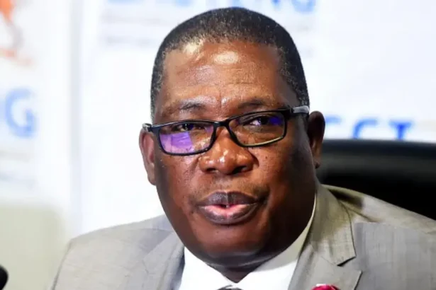 Panyaza Lesufi's 'Hotel Shower' Remark Triggers Outrage Across Gauteng During Water Crisis