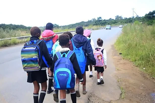 Thousands of Gauteng Learners Stranded as Subsidised Scholar Transport Strike Hits