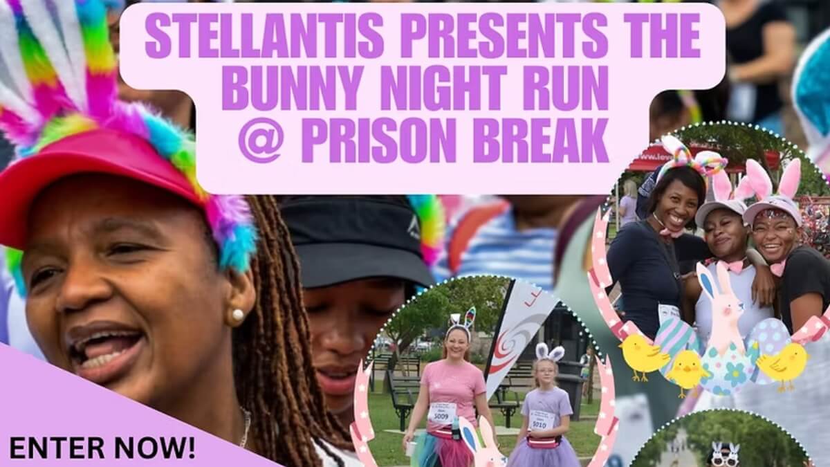 The Bunny Night Run 2026 51 The Bunny Night Run